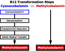 Methylcobalamin