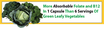 green leafy vegs